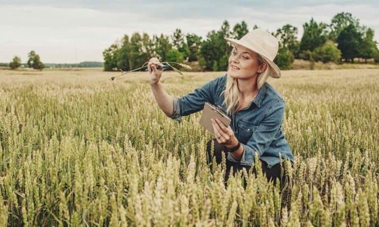 Woman Inspecting a Field